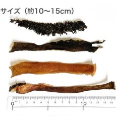 画像2: 最短賞味2025.3・プライムケイズ デンタルケア しっかりカムゾン 40g 犬猫用 牛内臓（上ミノ・センマイ）国産・無添加さかい企画 Prime KS pr30985 (2)