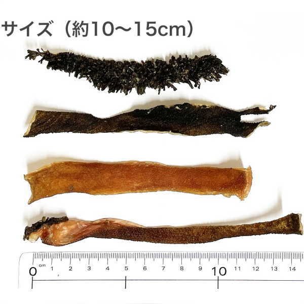 最短賞味2026.4・プライムケイズ デンタルケア しっかりカムゾン
