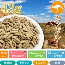 画像1: 最短賞味2025.1・プライムケイズ 長寿一番 カンガルー 43g 犬猫用 全年齢対応 産地厳選 国産 無添加ごはん さかい企画 Prime KS pr31180 (1)