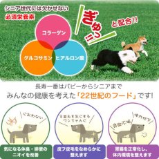 画像4: 最短賞味2025.1・プライムケイズ 長寿一番 カンガルー 43g 犬猫用 全年齢対応 産地厳選 国産 無添加ごはん さかい企画 Prime KS pr31180 (4)