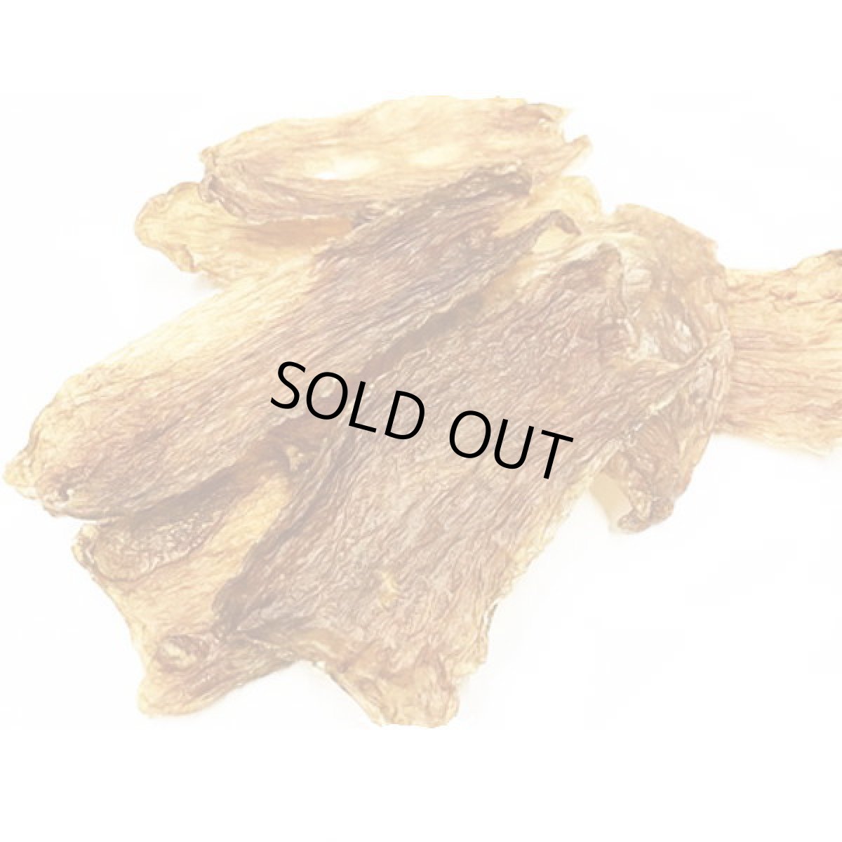 画像1: 最短賞味2026.12・プライムケイズ 熊本県直送 馬 ＧＵＭＧＵＭ 40g 犬猫用おやつ 無添加 国産 さかい企画 Prime KS pr32354 (1)