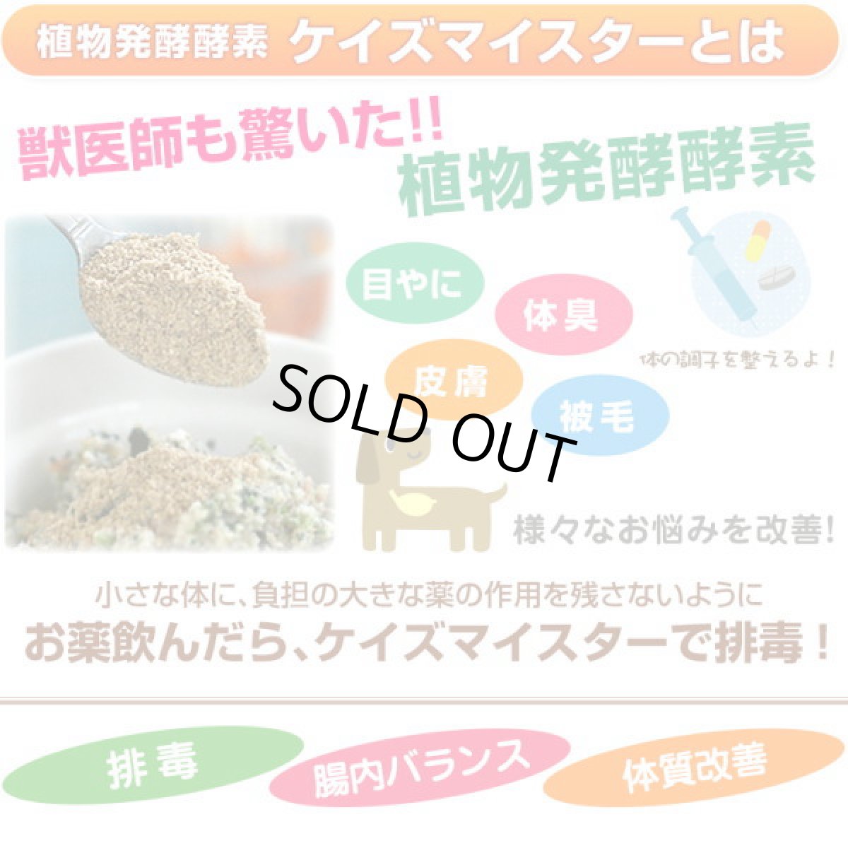 画像4: 最短賞味2027.3・プライムケイズ ケイズマイスター 100g 犬猫用手作りごはん アミノ酸 植物酵素 さかい企画 Prime KS pr35324 (4)