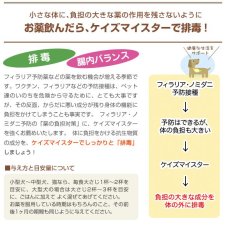 画像2: 最短賞味2025.4・プライムケイズ ケイズマイスタープレミアム 100g 犬猫用 ヒアルロン酸 植物酵素 国産 無添加 さかい企画 Prime KS pr35362 (2)