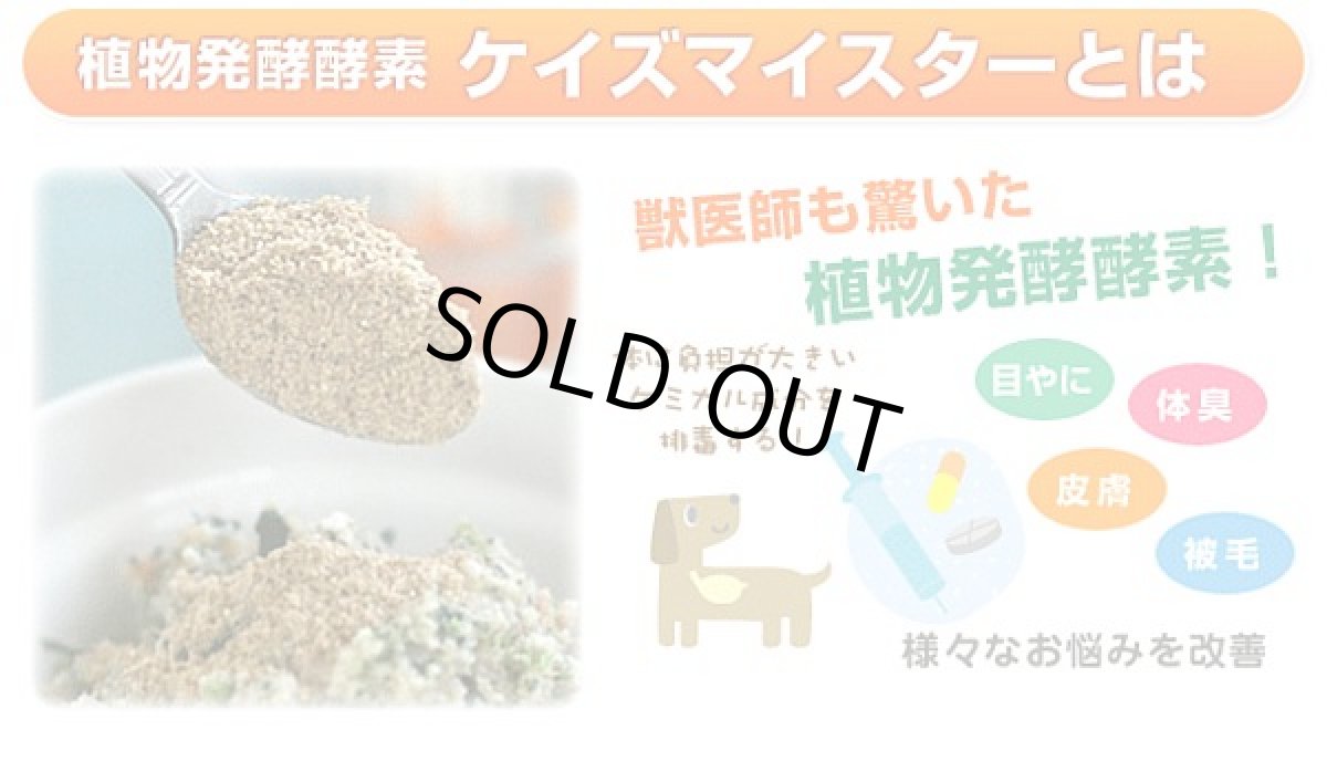 画像3: 最短賞味2026.12・プライムケイズ ケイズマイスタープレミアム 100g 犬猫用 ヒアルロン酸 植物酵素 国産 無添加 さかい企画 Prime KS pr35362 (3)