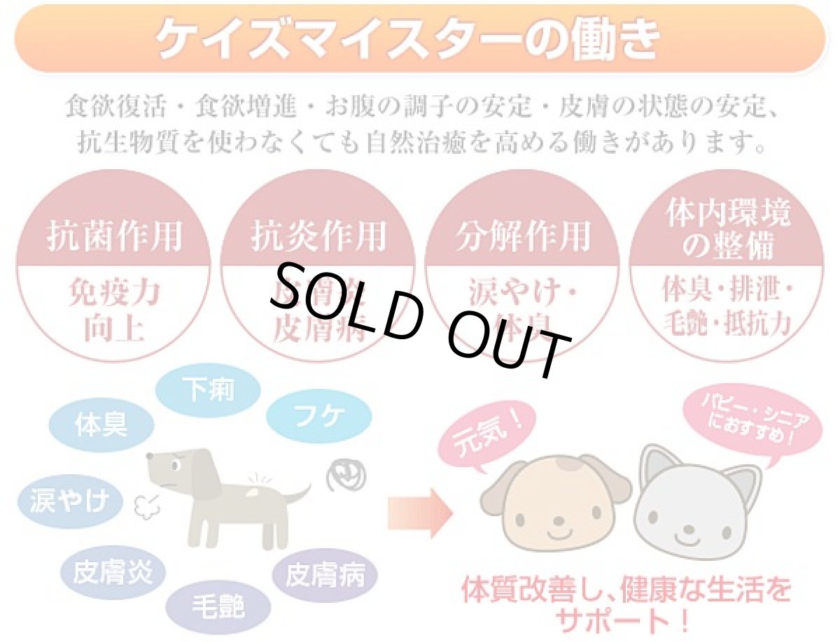 画像5: 最短賞味2026.12・プライムケイズ ケイズマイスタープレミアム 100g 犬猫用 ヒアルロン酸 植物酵素 国産 無添加 さかい企画 Prime KS pr35362 (5)