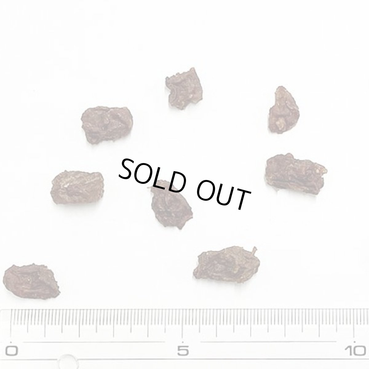 画像2: 最短賞味2026.12・プライムケイズ ブラジル産 砂ずりビッツ30g 犬猫人用 おやつ トレーニングビッツ 無添加 さかい企画 Prime KS pr35768 (2)