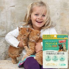 画像7: NEW 最短賞味2028.12・プロバイオデンタルペット 粉末タイプ 7.35g(30杯分)犬猫用 歯垢 口腔ケア口腔善玉菌ps60744 (7)