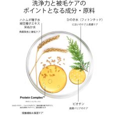 画像5: NEW RENADOG レナドッグ/犬用ディープクレンジングシャンプー300ml/ren21826 (5)