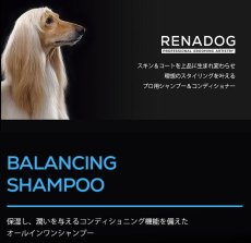 画像2: NEW RENADOG レナドッグ/犬用バランシングシャンプー300ml/ren21833 (2)