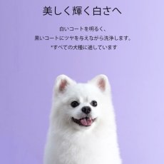 画像4: NEW RENADOG レナドッグ/犬用ホワイトニングシャンプー300ml白毛黒毛用ren21840 (4)