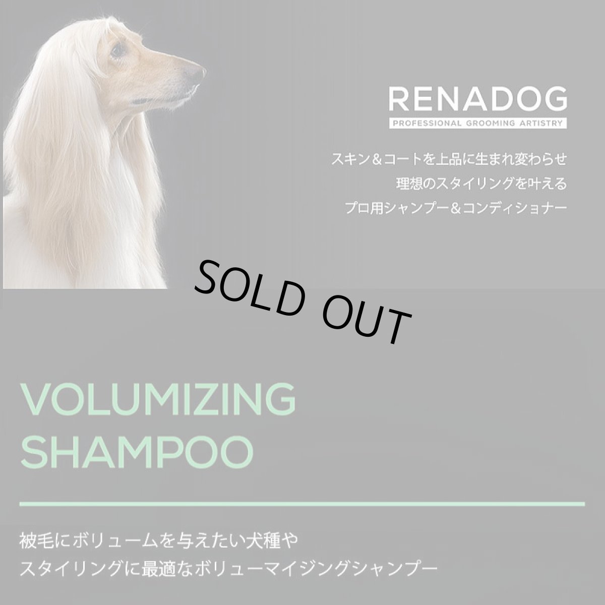 画像2: NEW 最短期限2029.6.24・RENADOG レナドッグ/犬用ボリューマイジングシャンプー300mlボリュームプラスren21956/8224300 (2)