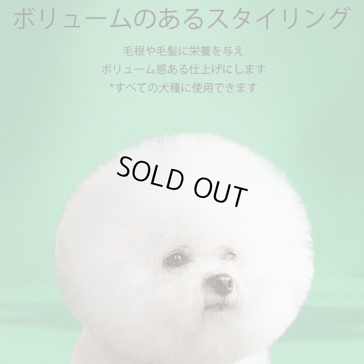 画像4: NEW 最短期限2029.6.24・RENADOG レナドッグ/犬用ボリューマイジングシャンプー300mlボリュームプラスren21956/8224300 (4)