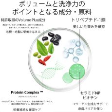 画像5: NEW 最短期限2029.6.24・RENADOG レナドッグ/犬用ボリューマイジングシャンプー300mlボリュームプラスren21956/8224300 (5)