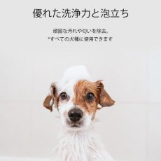 画像4: NEW 最短期限2029.5・RENADOG レナドッグ/犬用ディープクレンジングシャンプー無香料300ml/ren23097/8221300 (4)