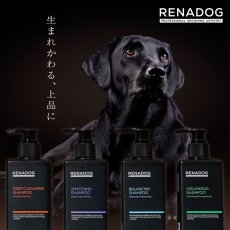 画像6: NEW 最短期限2029.5・RENADOG レナドッグ/犬用ディープクレンジングシャンプー無香料300ml/ren23097/8221300 (6)