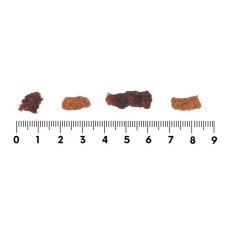 画像5: NEW 最短賞味2026.8・ロッカ エアドライ 鹿バラエティービッツ 100g 犬用おやつ 国産 無添加 roc46041 (5)