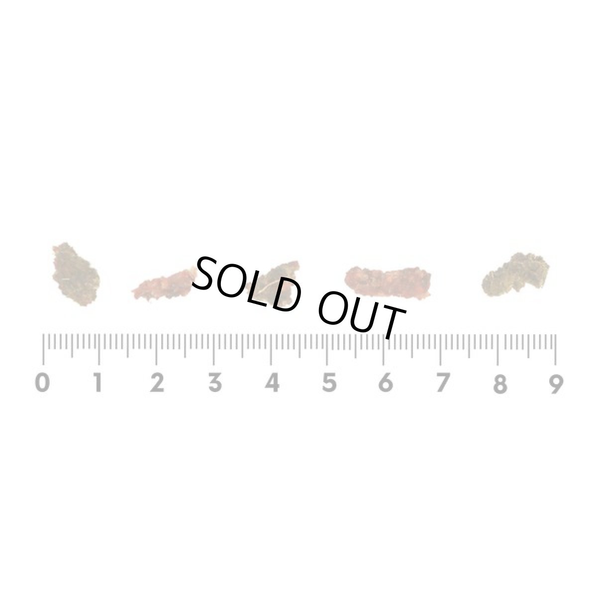 画像5: 最短賞味2027.1・ロッカ エアドライ 鹿トライプ＆ミートビッツ 100g 犬用おやつ 国産 無添加 roc46065 (5)