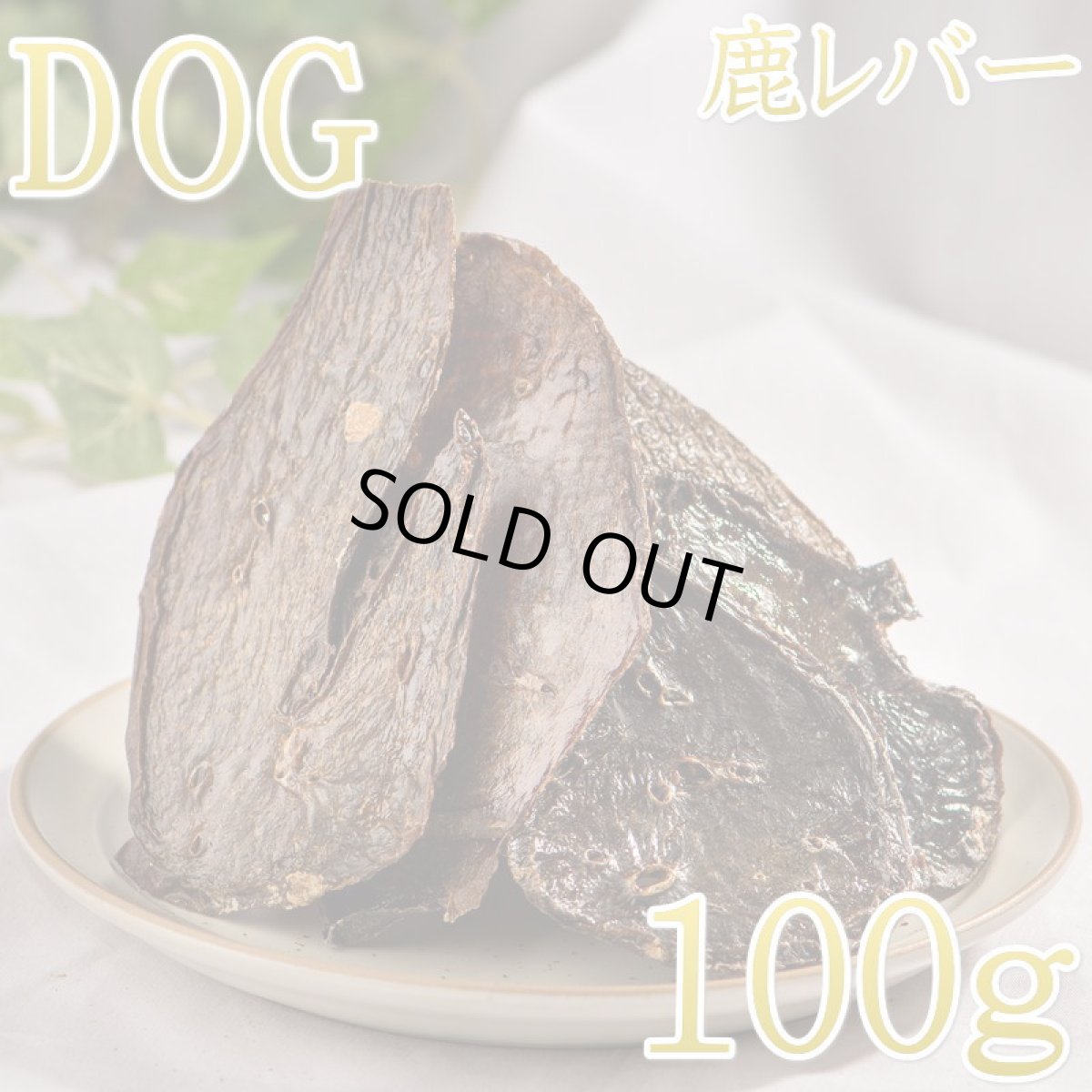 画像1: NEW 最短賞味2026.9・ロッカ エアドライ 鹿レバージャーキー 100g 犬用おやつ 国産 無添加 roc46102 (1)