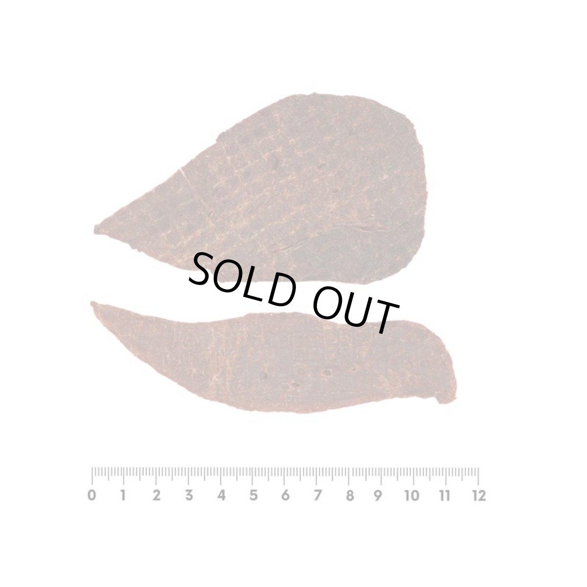 画像4: 最短賞味2027.4・ロッカ エアドライ 鹿レバージャーキー 100g 犬用おやつ 国産 無添加 roc46102 (4)