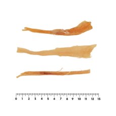 画像4: NEW 最短賞味2027.1・ロッカ エアドライ 鹿アキレスジャーキー 15g 犬用おやつ 国産 無添加 roc46133 (4)