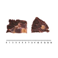画像4: NEW 最短賞味2027.2・ロッカ エアドライ 鹿ネックスライス 100g 犬用おやつ 国産 無添加 roc46157 (4)