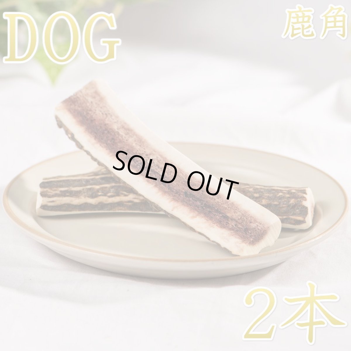 画像1: NEW 最短賞味2027.10・ロッカ エアドライ 鹿角ハーフカット 2本入 犬用おやつ 国産 無添加 roc46164 (1)