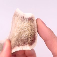 画像6: NEW 最短賞味2027.10・ロッカ エアドライ 鹿角ハーフカット 2本入 犬用おやつ 国産 無添加 roc46164 (6)
