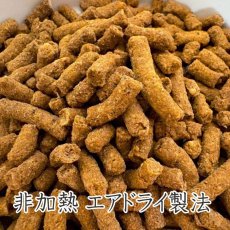 画像2: NEW 最短賞味2027.12.15・ロッカ ROKKA BLOOM 鹿肉＆馬肉 小粒 8kg 全年齢犬用 総合栄養食 国産roc46720 (2)