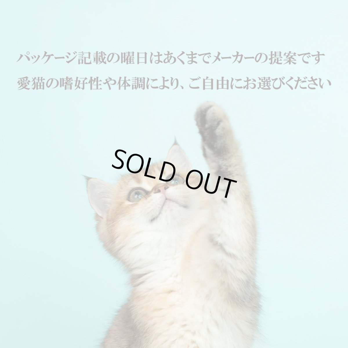 画像8: 最短賞味2028.7・シグネチャー７ 火曜パテ チキンwithバーリー80g（22＋2）24個セットSignature7正規品s7-p2 (8)