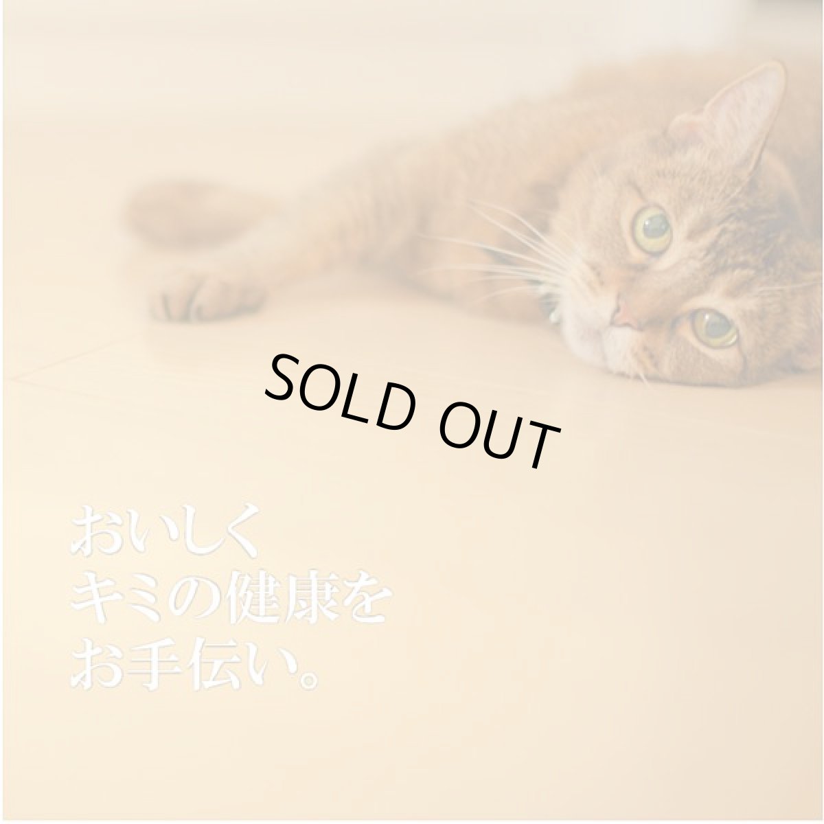 画像10: 最短賞味2028.7・シグネチャー７ 火曜パテ チキンwithバーリー80g（22＋2）24個セットSignature7正規品s7-p2 (10)