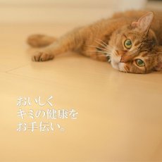 画像3: 最短賞味2024.11・シグネチャー７ 水曜パテ ツナ＆ゴジベリー80g全年齢猫用総合栄養食Signature7正規品s7-p3 (3)