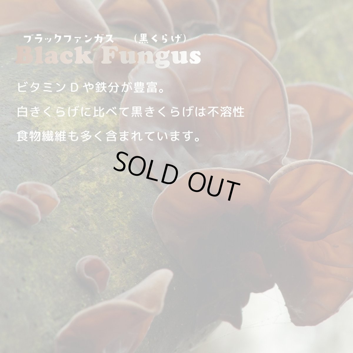 画像4: 最短賞味2028.1・シグネチャー７ 木曜チキン＆ブラックファンガス80g（22＋2）24個セットSignature7正規品s7-p4 (4)