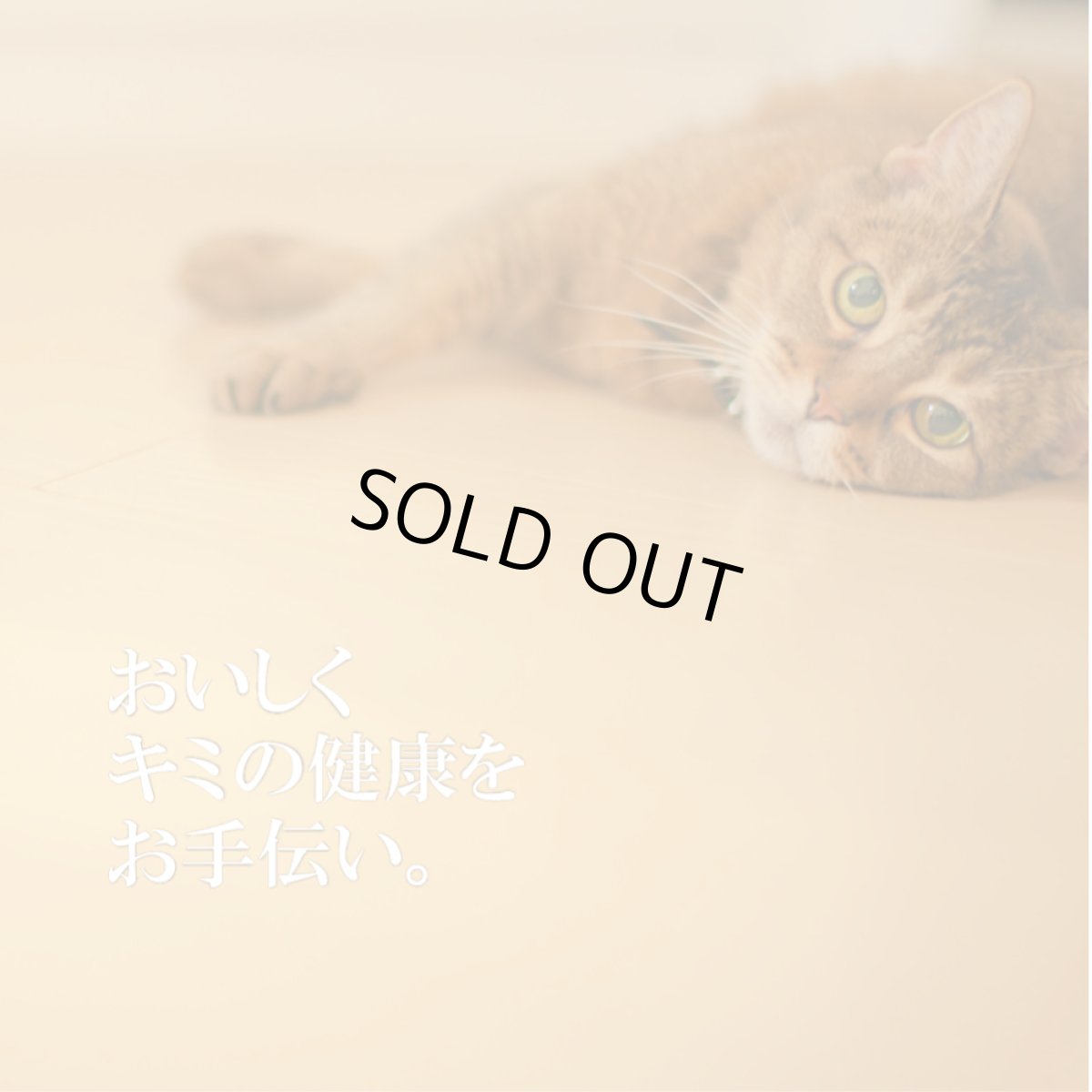 画像6: 最短賞味2028.1・シグネチャー７ 木曜チキン＆ブラックファンガス80g（22＋2）24個セットSignature7正規品s7-p4 (6)