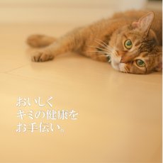 画像6: 最短賞味2027.6・シグネチャー７ 木曜チキン＆ブラックファンガス80g（22＋2）24個セットSignature7正規品s7-p4 (6)