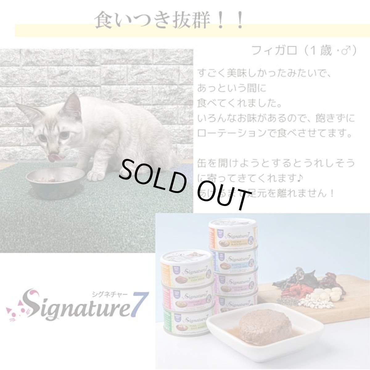 画像8: 最短賞味2028.1・シグネチャー７ 木曜チキン＆ブラックファンガス80g（22＋2）24個セットSignature7正規品s7-p4 (8)