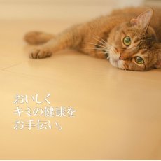 画像3: 最短賞味2024.11・シグネチャー７ 土曜パテ チキン＆ゴジベリー80g全年齢猫用総合栄養食Signature7正規品s7-p6 (3)