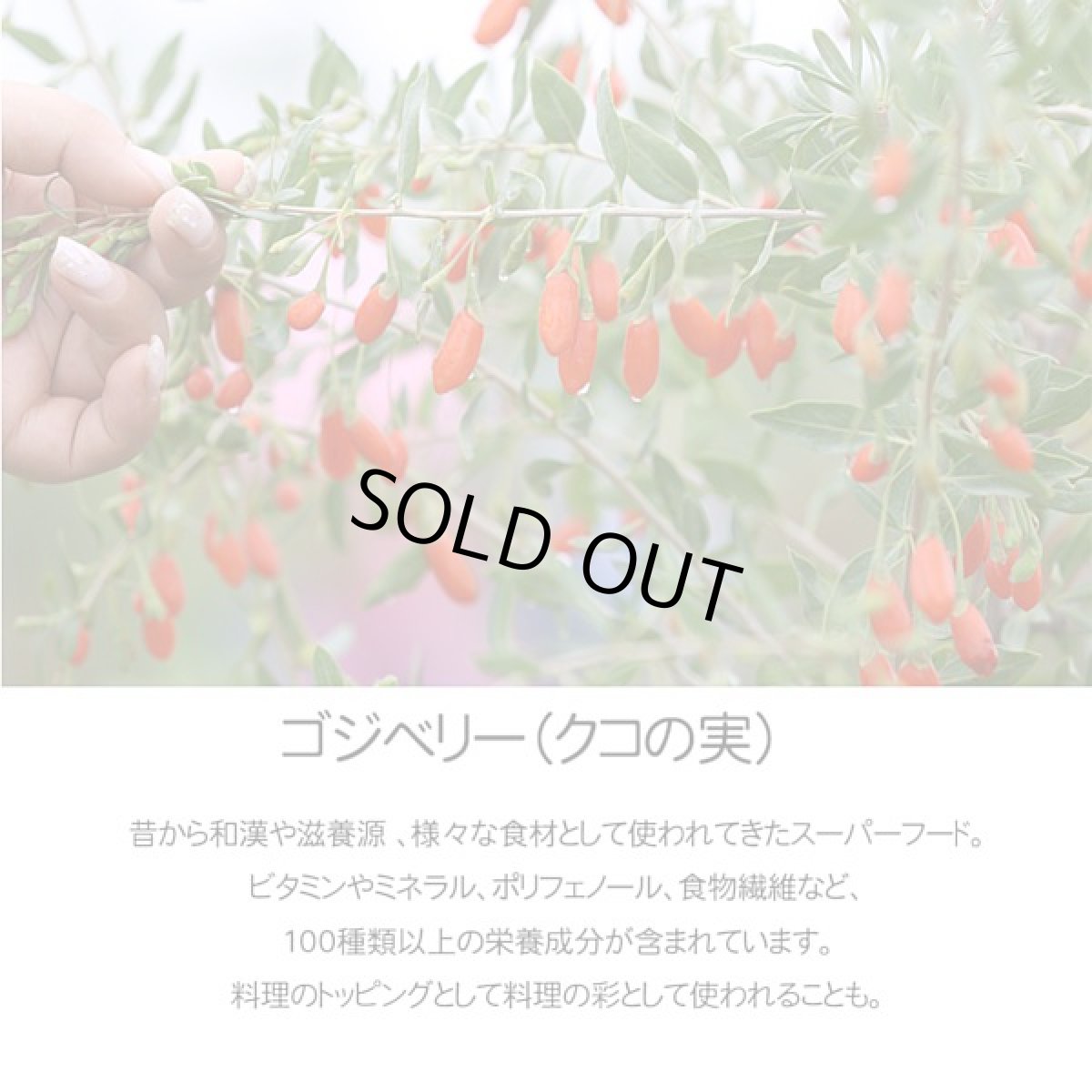画像6: 最短賞味2028.7・シグネチャー７ 土曜チキン＆ゴジベリー80g（22＋2）24個セットSignature7正規品s7-p6 (6)