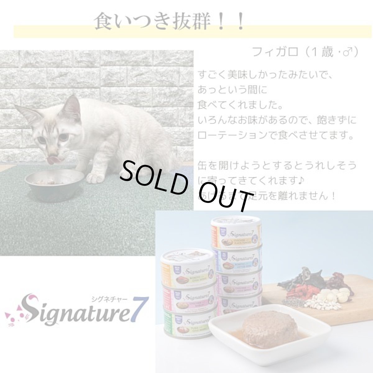 画像8: 最短賞味2028.7・シグネチャー７ 土曜チキン＆ゴジベリー80g（22＋2）24個セットSignature7正規品s7-p6 (8)