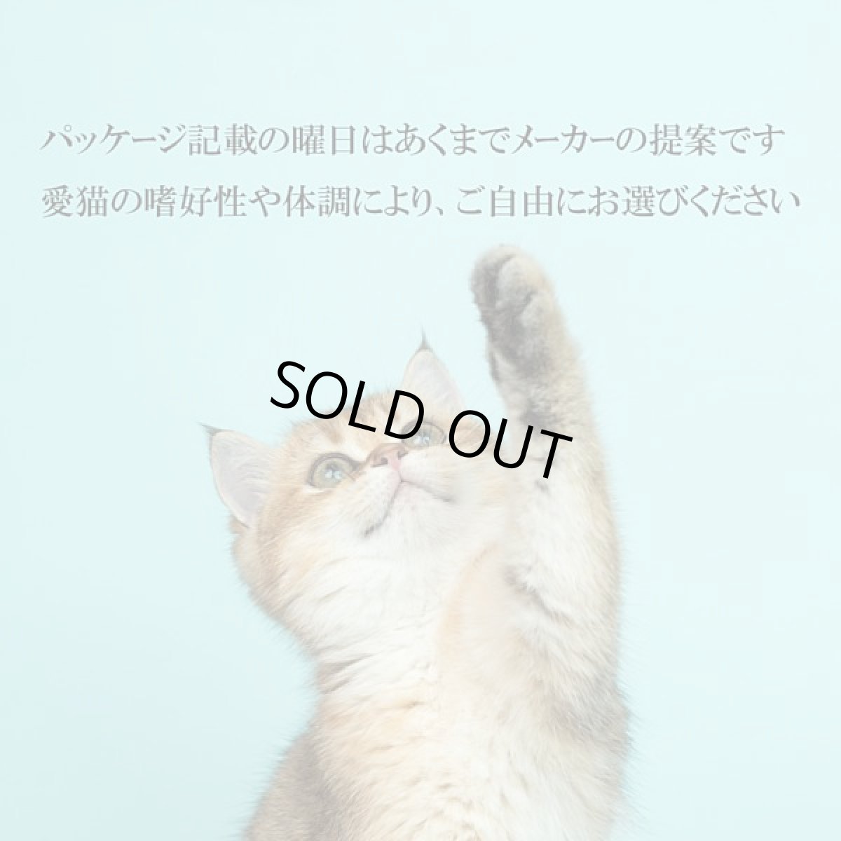 画像10: 最短賞味2028.7・シグネチャー７ 土曜チキン＆ゴジベリー80g（22＋2）24個セットSignature7正規品s7-p6 (10)