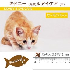 画像5: SALE/最短賞味2023.6・シグネチャー７ クランチーディライト キドニー＆アイケア 50g猫用おやつ正規品S7-T4 (5)