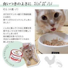 画像8: 最短賞味2027.1・シグネチャー７ ウイークリーパック70g×7全年齢猫用総合栄養食Signature7正規品s7-wp-g85498 (8)