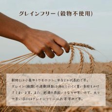 画像6: 最短賞味2025.12・シグネチャー７ 犬 チキンブロス チキン＆ウエイトヘルス80g全年齢犬用総合栄養食s782358/S7D-B3 (6)
