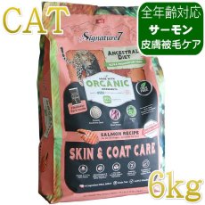 画像1: NEW 最短賞味2028.1.15・シグネチャー７ 猫 アンセストラルダイエット キャット スキン＆コート サーモンレシピ6kg(400g×15個)s783812全年齢 正規品 (1)