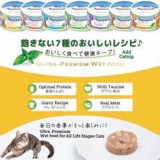 画像3: NEW 最短賞味2027.10・シグネチャー７ キャットニップ ツナwithアロエベラ 70gグレイビー一般食Signature7正規品/s784680 (3)