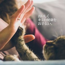 画像4: 最短賞味2025.8・シグネチャー７ 月 チキン＆しらす パウチ 50g猫用総合栄養食Signature7正規品s7-l1/s786266 (4)