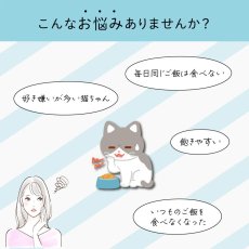 画像3: SALE最短賞味2026.5・シグネチャー７ ニュートリディライト7種セット 各4本×7種＝28本/猫おやつs7c7set (3)