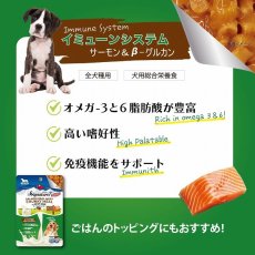 画像3: NEW 最短賞味2026.3・シグネチャー７ ドッグ サーモンチャンキー パウチ 80g犬用総合栄養食Signature7正規品s7dgm383164 (3)