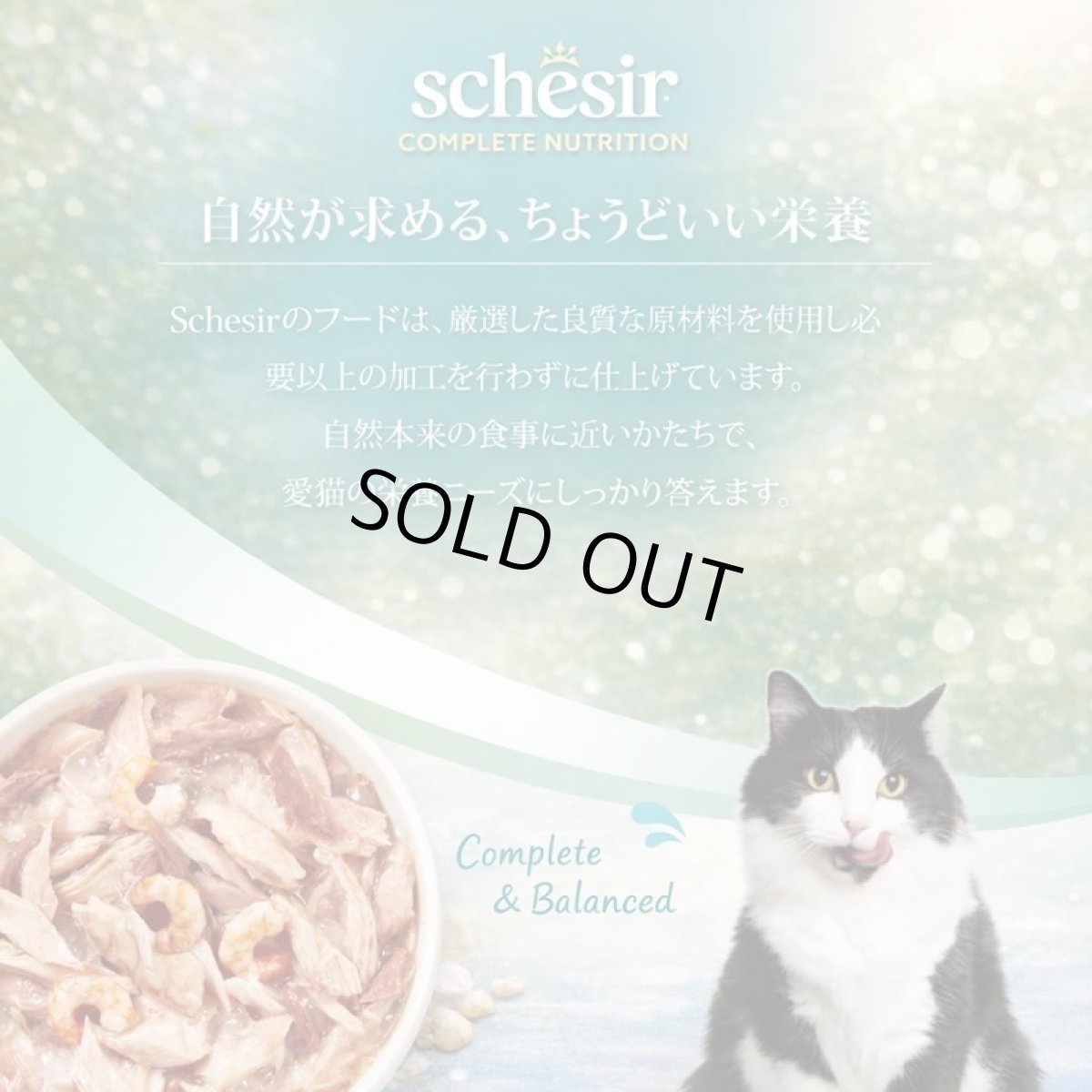 画像4: NEW 最短賞味2028.?・シシア 猫 スープ サーモン＆キャロット85g scc25415全年齢猫用一般食キャットフードSchesir正規品 (4)