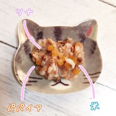 画像2: リニューアル品最短賞味2027.8・シシア 猫 (ツナwithパパイヤ)75g缶 scc350成猫用ウェット キャットフードSchesir正規品 (2)