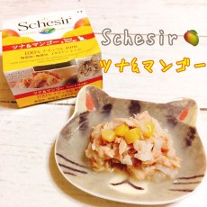 画像1: 最短賞味2027.1・シシア 猫 キャット（ツナ＆マンゴー）75g缶scc354 成猫用ウェット 一般食 キャットフード Schesir 正規品 (1)